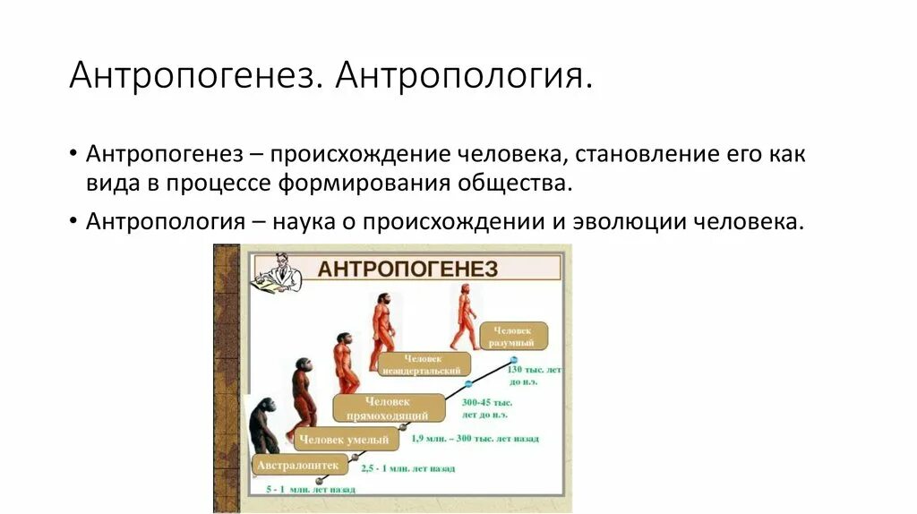 Происхождение человека. Антропология и Антропогенез. Наука о происхождении человека. Происхождение человека Антропогенез.