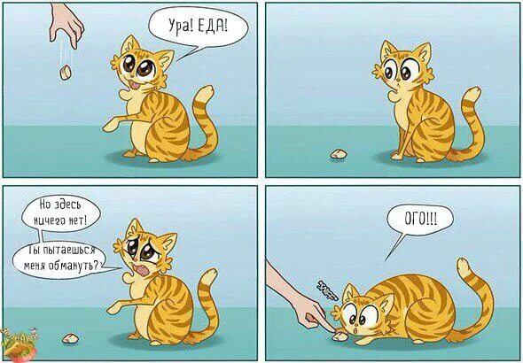 Pin by Rachel Pangrac on Caturday!? Funny picture jokes, Funny images, Funny mem