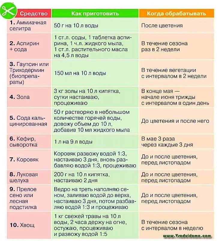 Чем обработать крыжовник от мучнистой росы. Препарат от мучнистой росы на крыжовнике. Препараты для обработки крыжовника. Обработка крыжовника содой от мучнистой росы. Обработка крыжовника от мучнистой росы.