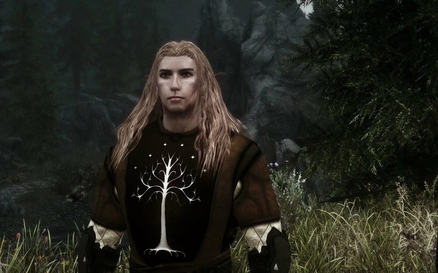 Эльфийки. Skyrim компаньон эльф. Скайрим броня ауриэля. Skyrim моды эльфа. The elder scrolls альтмеры.