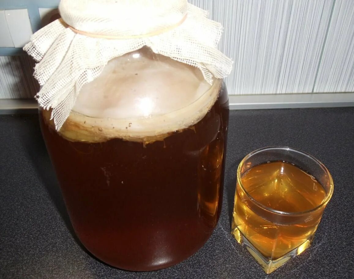 откуда берется чайный гриб. откуда берется чайный гриб. живой чайный гриб комбуча. чайный гриб или комбуча. квас на чайном грибе.