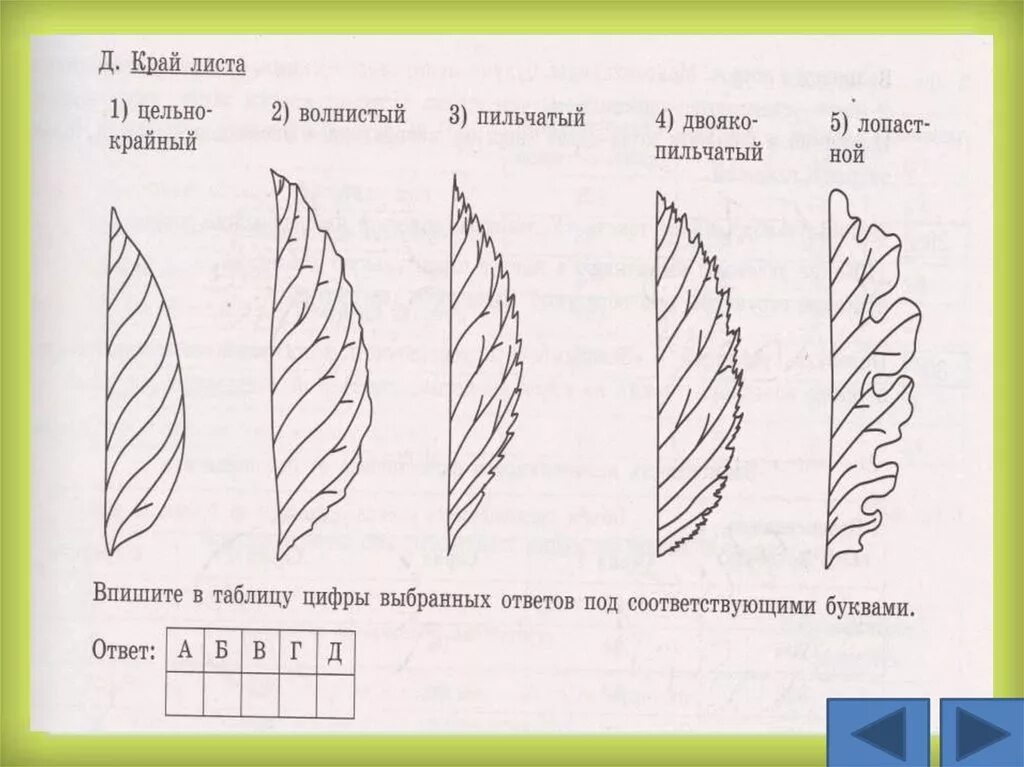 Листы 5 задание разбор