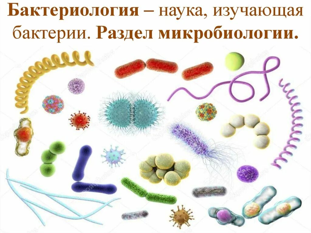 Микробиология и бактериология. Микробиология изучает бактерии. Микробиология наука изучающая микроорганизмы. Микробиология наука о микроорганизмах. Наука изучающая бактерии называется