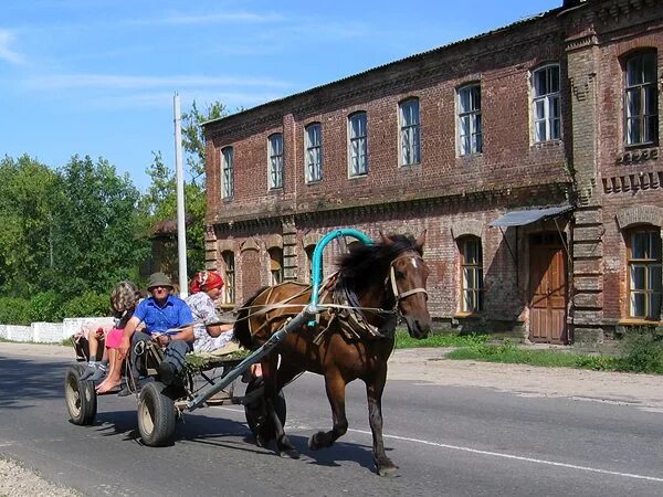 ураган в сураже брянской области вчера. город сураж брянской области. сураж брянская область день города. сураж брянская область площадь. сильные дожди конгаз.