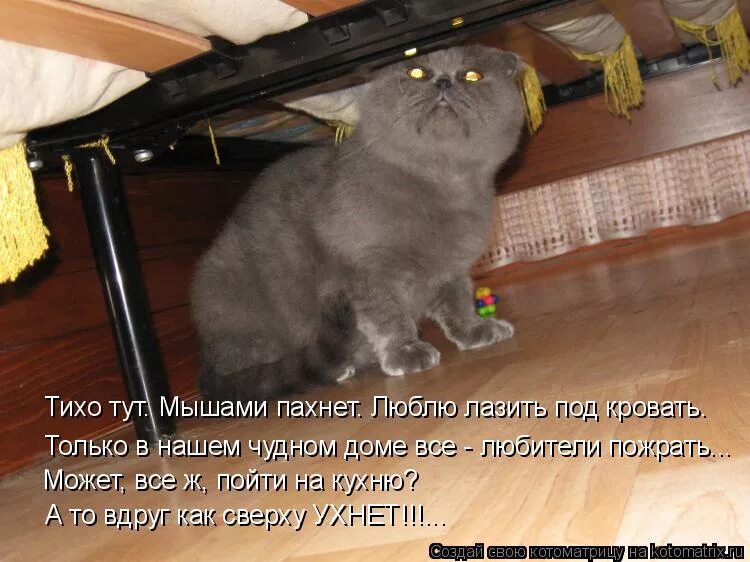 Тут было тихо. Прикольные. Тихо мем. Азори сдесь тихик текст. Что то тихо в группе картинки.