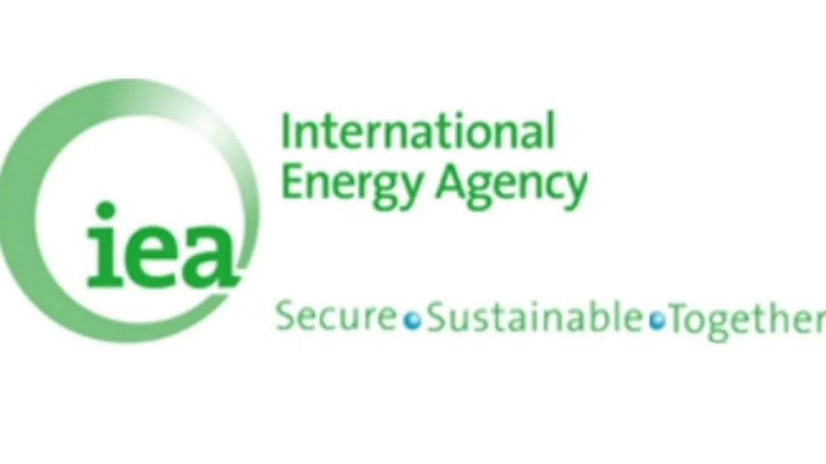 International Energy Agency. МЭА. The International Energy Agency (IEA). Татмуо МЭА.