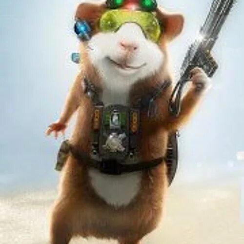 Игра hamsterball 3. Hamster combat lvl. Хомяки ссорятся. Хомяки дерутся. Хомяк на аву.