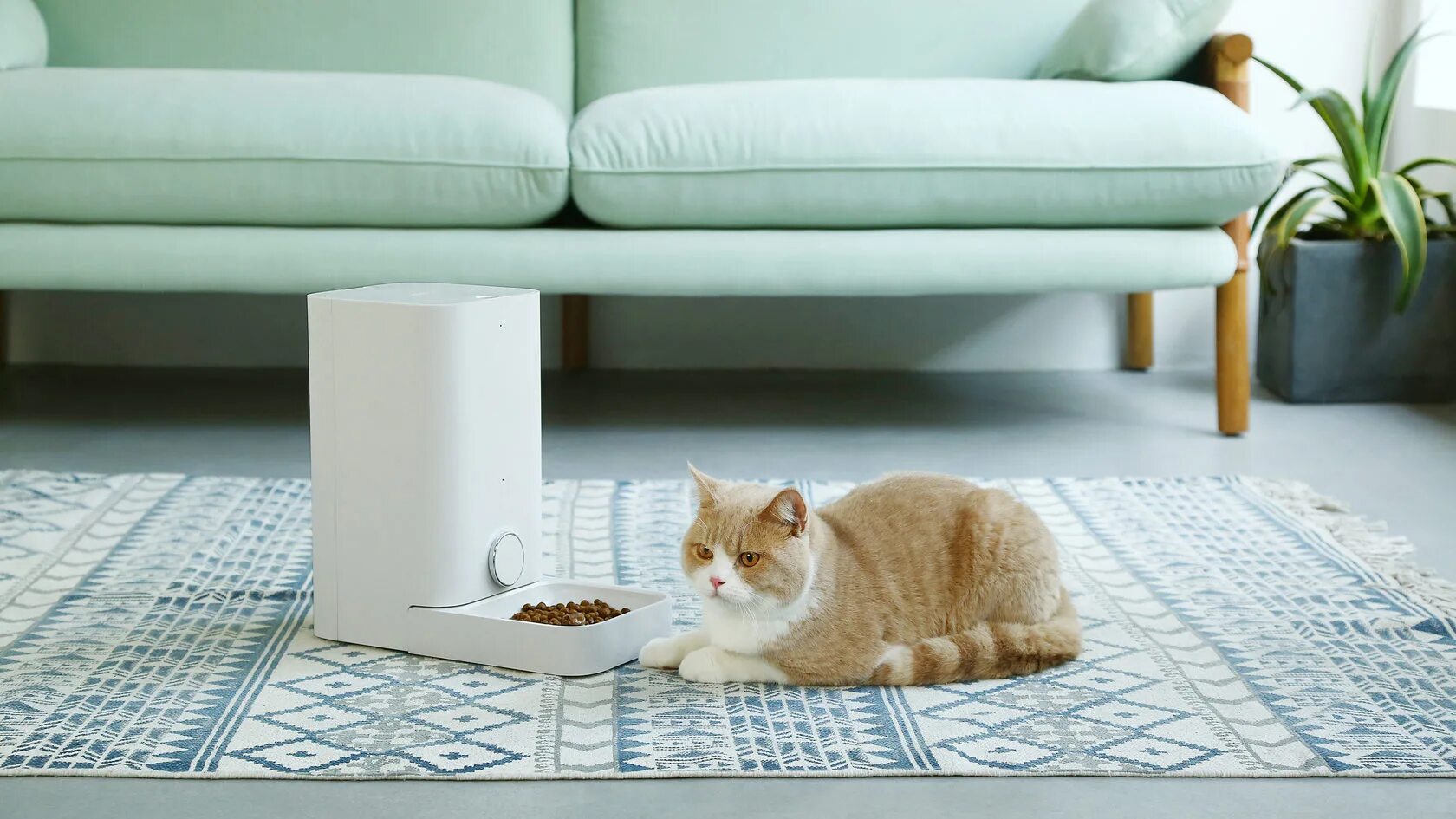 Petkit fresh element. Petkit fresh element mini. petkit fresh element 3. умная кормушка для животных xiaomi petkit fresh element mini p530. автокормушка фреш элемент мини.