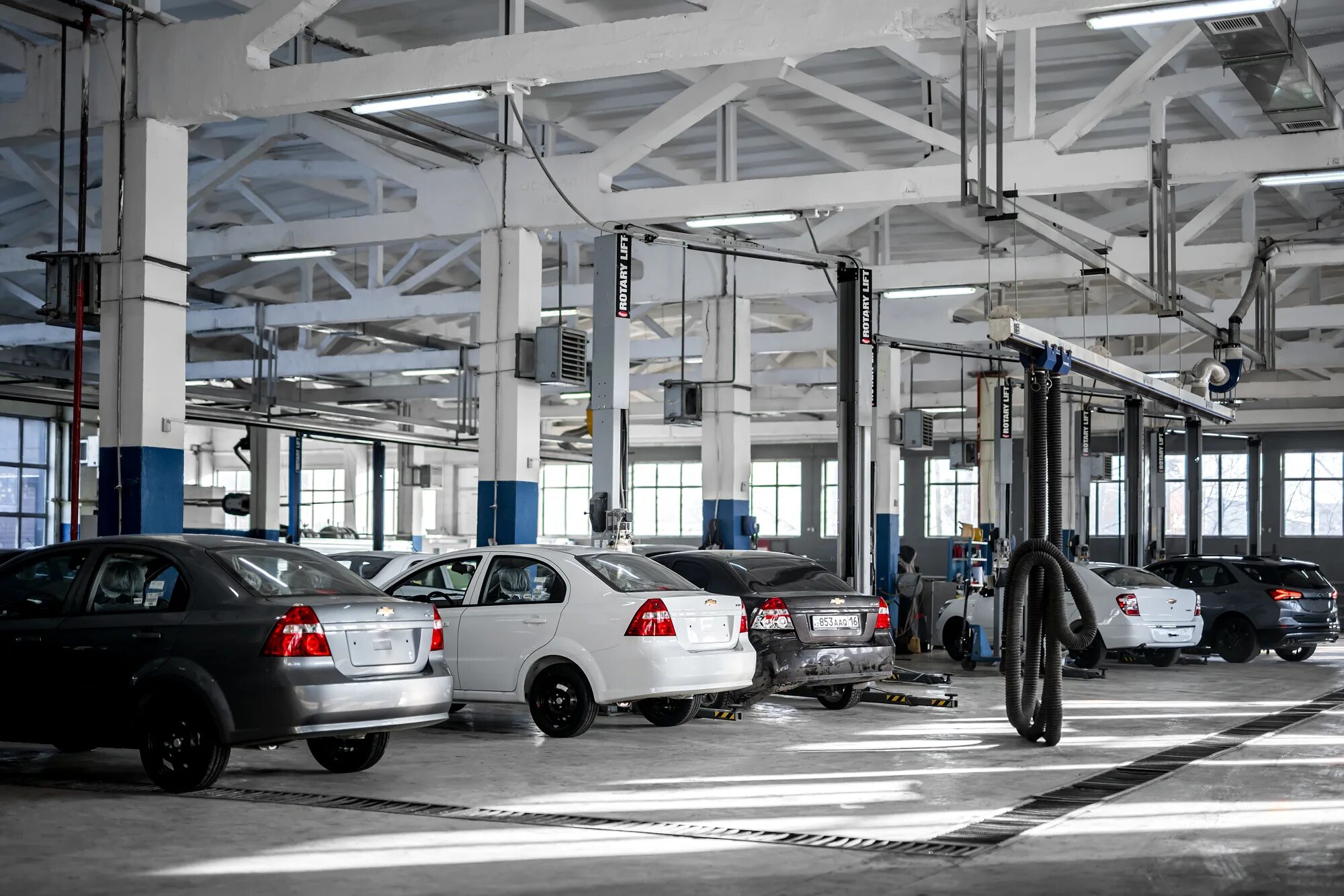 астана моторс. терра моторс. астана инфинити. терра моторс астана жанажол 6. логотип терра моторс.