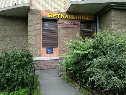 Домвет на ленинском 168