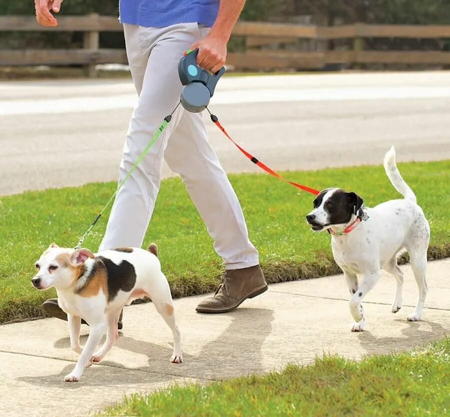 Рулетка для собак Retractable Dog Leash. Pet Leash поводок. Поводок для двоих собак. Прогулка с собакой на поводке. Walk pets