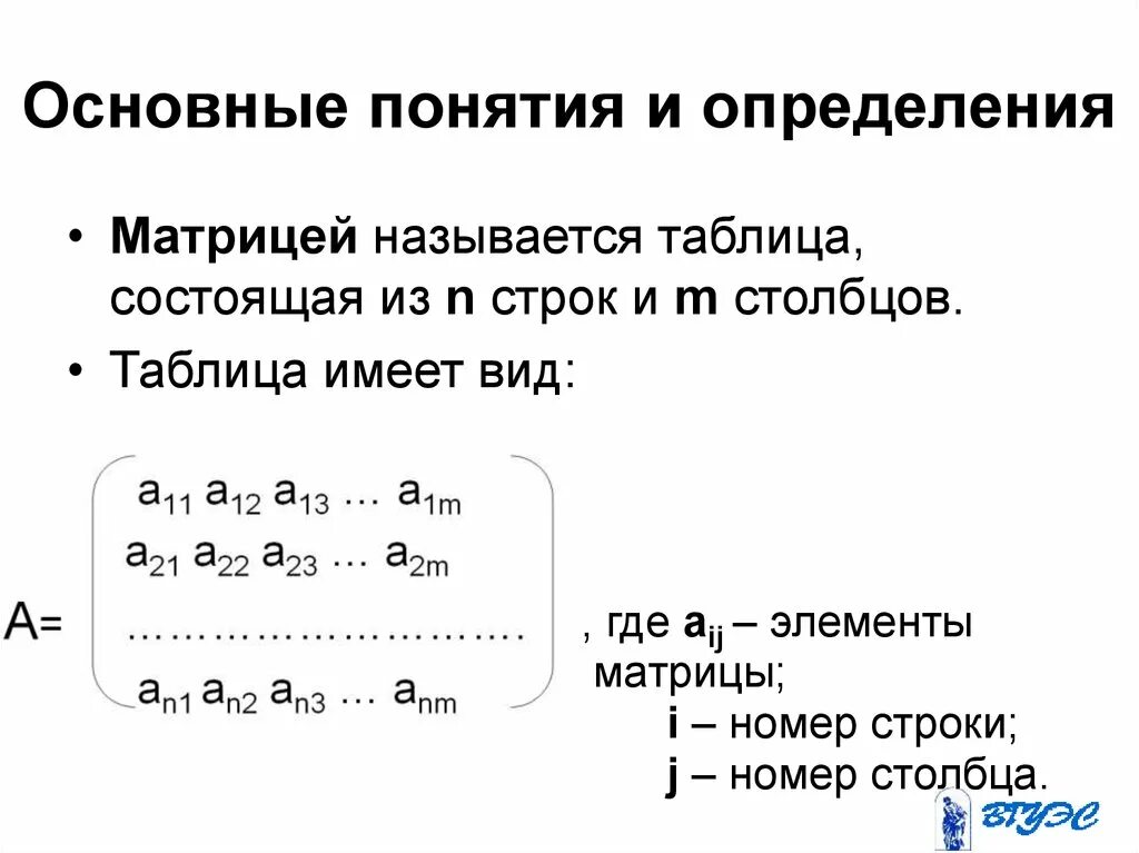 Определить вид матрицы. 1. Матрицы: основные понятия.. Основные понятия матрицы матрицы. 1. Понятие матрицы. 1. Матрицы. Основные понятия. Действия над матрицами..