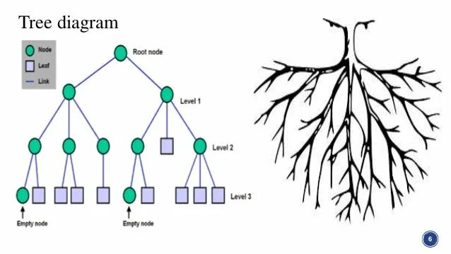 Tree diagram. Диаграмма node tree. диаграмма плоское дерево. node tree diagram. тип диаграммы дерево.