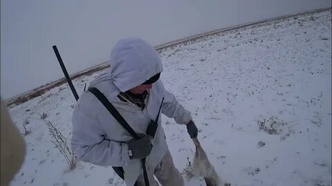 Охота на зайца новинки видео