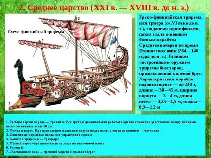 Финикийские корабли выходили в тихий океан