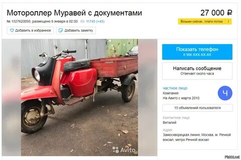 Муравей сколько лошадей