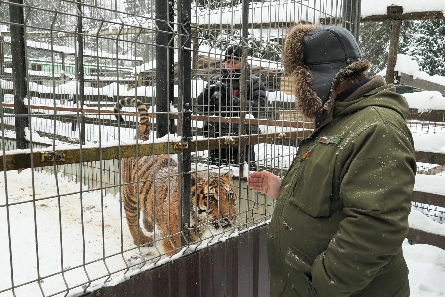 Центр диких животных москва. Московский реабилитационный центр диких животных. андрейково центр реабилитации диких животных. реабилитационный центр для животных. котовский центр реабилитации диких животных.
