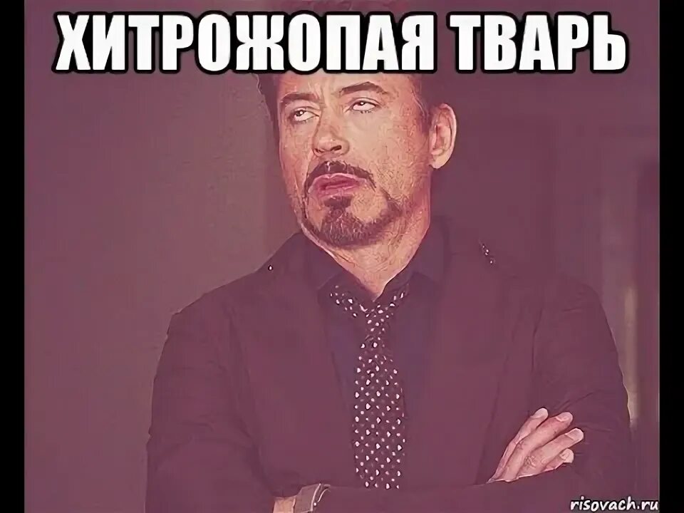 Ща друзей