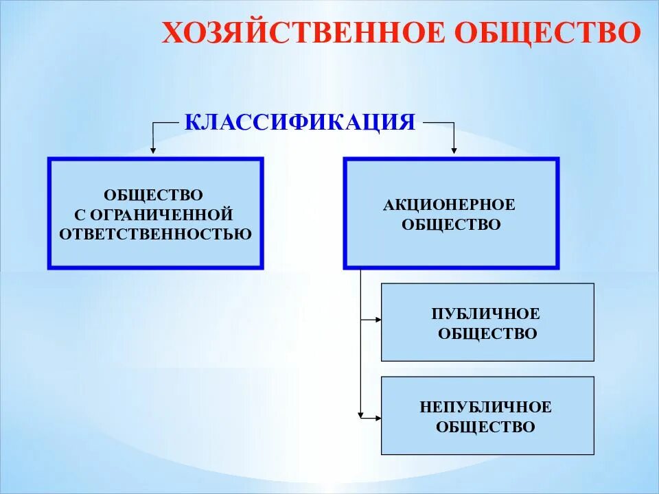 Хозяйственные организации это акционерное общество. Классификация общества. Классификация акционерных обществ. Классификация хозяйственных обществ. Хозяйственные общества АО.