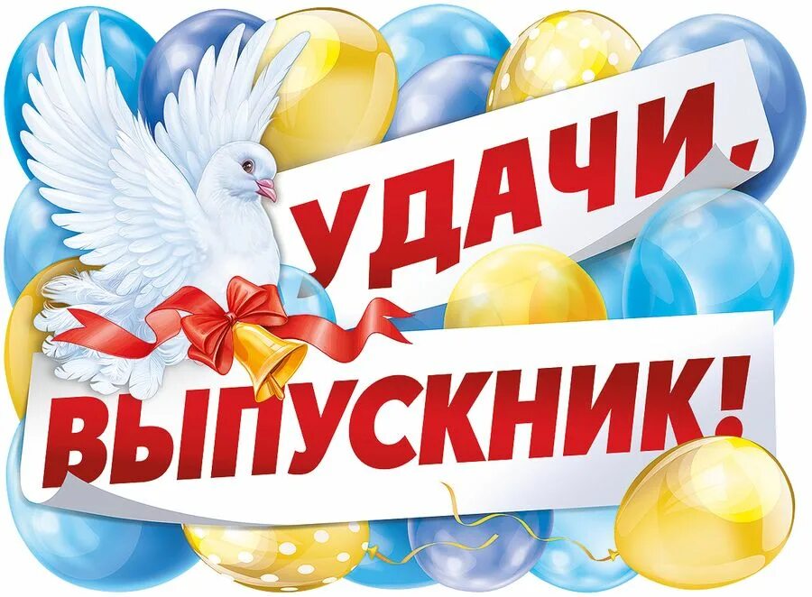 удачи вам. плакат на выпускной в детском саду. плакат удачи тебе, выпускник !. открытка выпускнику школы. счастливого пути ребята.