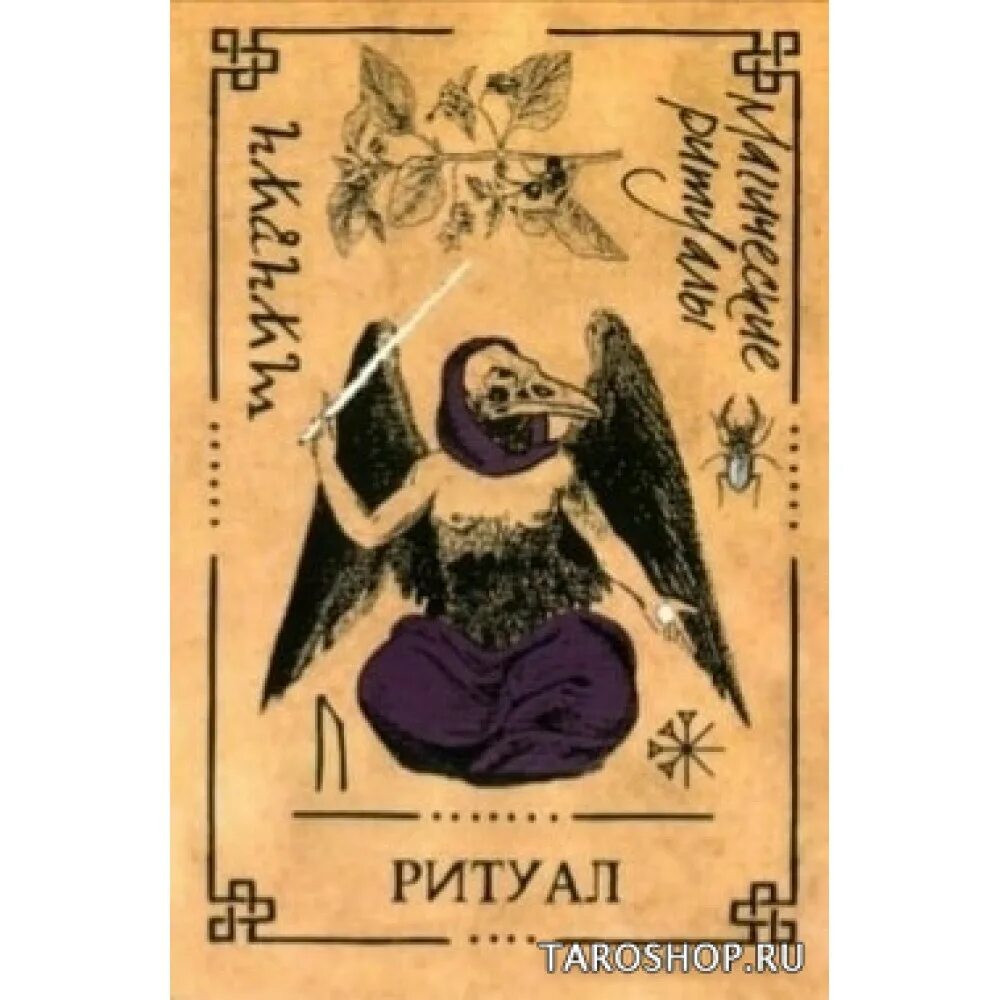 Карты викканского оракула. Викканский оракул теней карты. карты таро викканский оракул. викканское таро оракул теней. викканский оракул теней галерея.