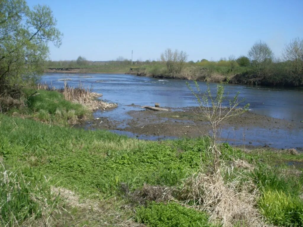 Дмитриевский храм в дмитриеве курской области до революции. Дмитриев город курская. Дмитриев курская область. Прогноз погоды в дмитриеве льговском. Курская область г дмитриев ул пролетарская д 24.