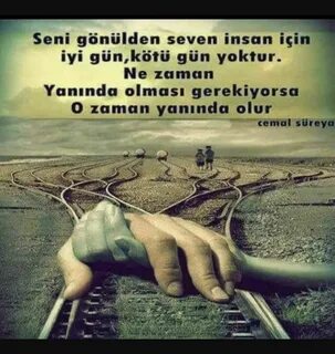 Pis dost