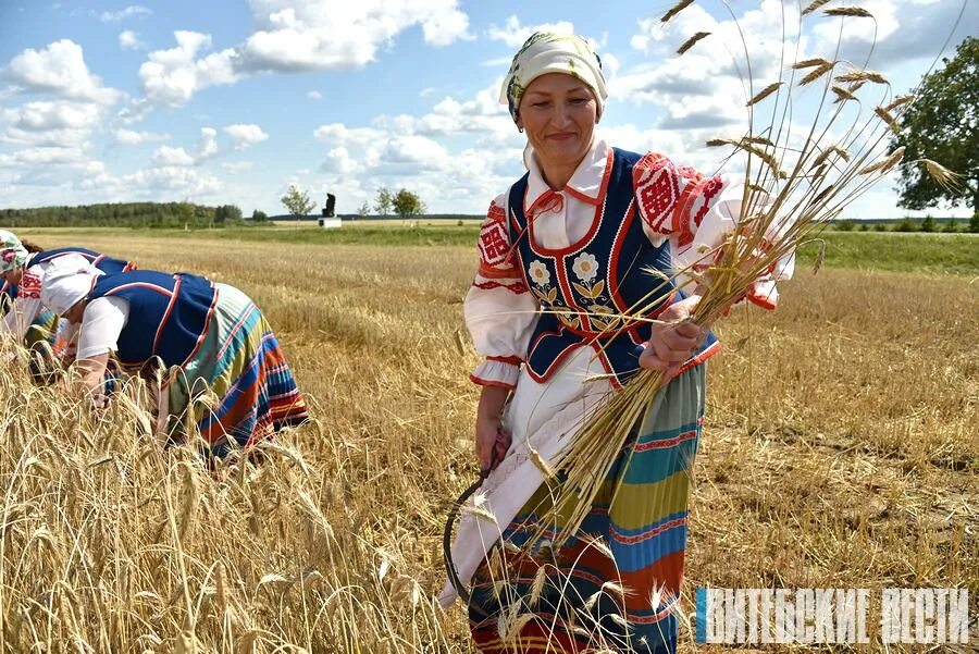 Венецианов сенокос картина. Жатва серпом. Жатва серпом. Жали пожинали. Серп и пшеница.