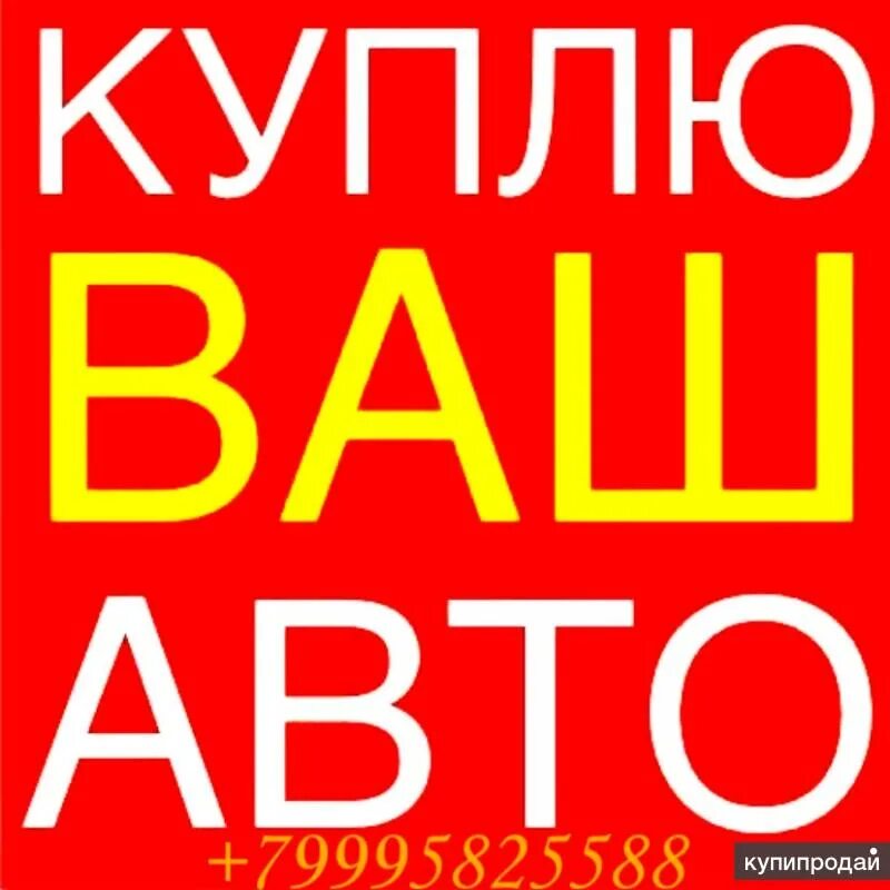 Выкуп авто в любом состоянии. Выкуп авто. Ваш auto. Выкуп авто реклама. Ваш auto.