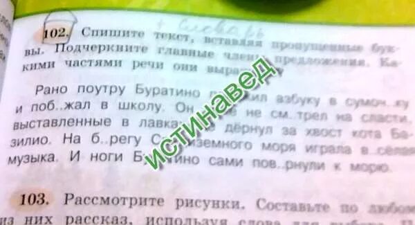 Рано предложение. Рано предложение