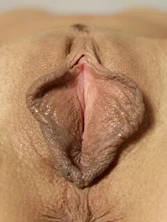 Голые женские влагалища. 