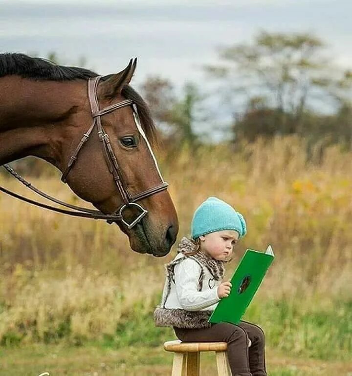 Хорошо сейчас прочитаю