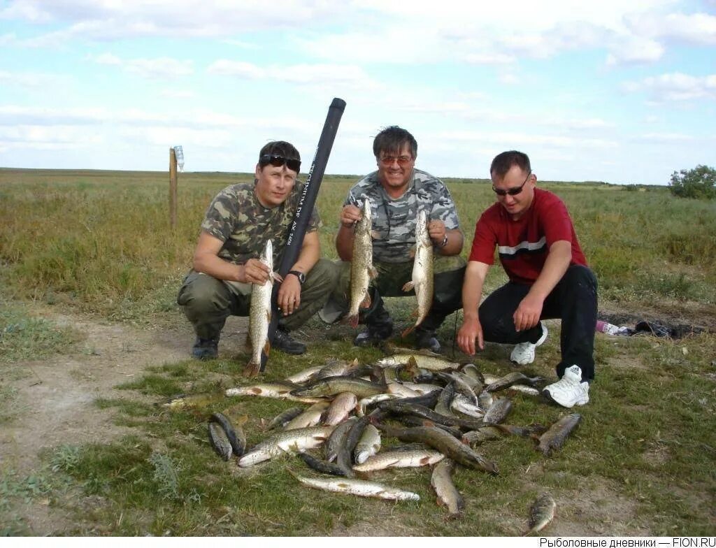 Ловля п. Водохранилище Аршань-Зельмень. Рыбалка в Калмыкии. Места для рыбалки в Удмуртии. Где хорошая рыбалка.