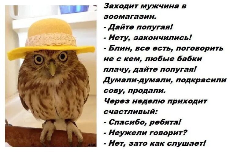 Нету кончились
