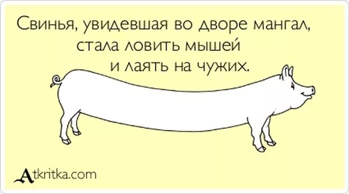 Выражение поросят