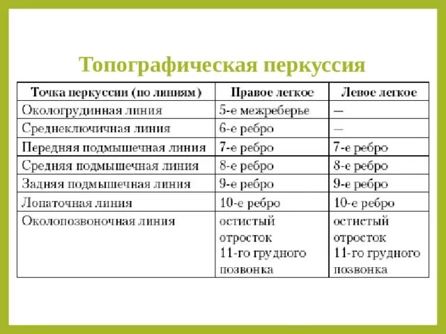 Верхушки легких в норме. Топографическая перкуссия легких пропедевтика. Топографическая перкуссия легких норма. Топографическая перкуссия легких алгоритм. Данные топографической перкуссии легких в норме.