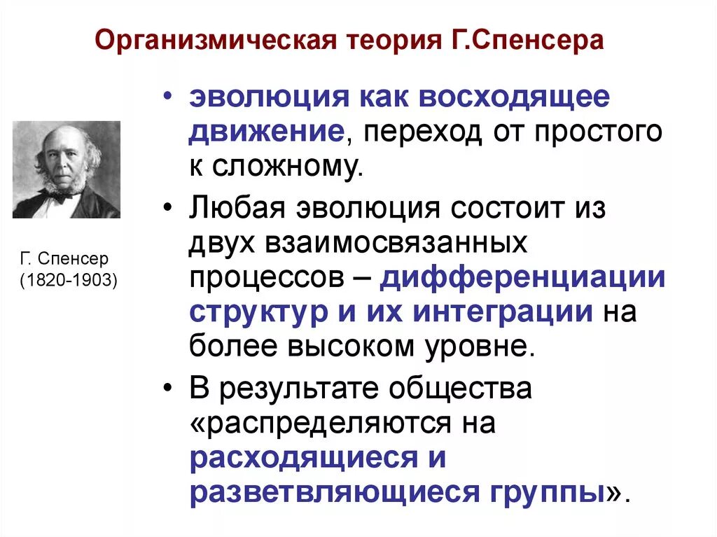 Основные гипотезы эволюции