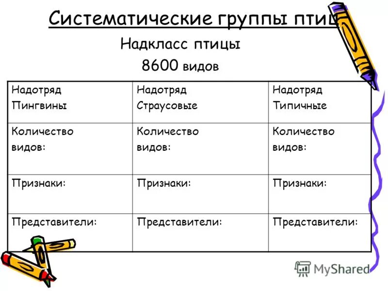 Группы птиц таблица Kraskarta.ru
