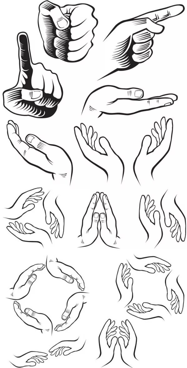 две ладони. кисть руки. руки рисунок вектор. ладонь. руки рисунок вектор.