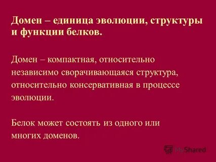 Эволюция строения и функций