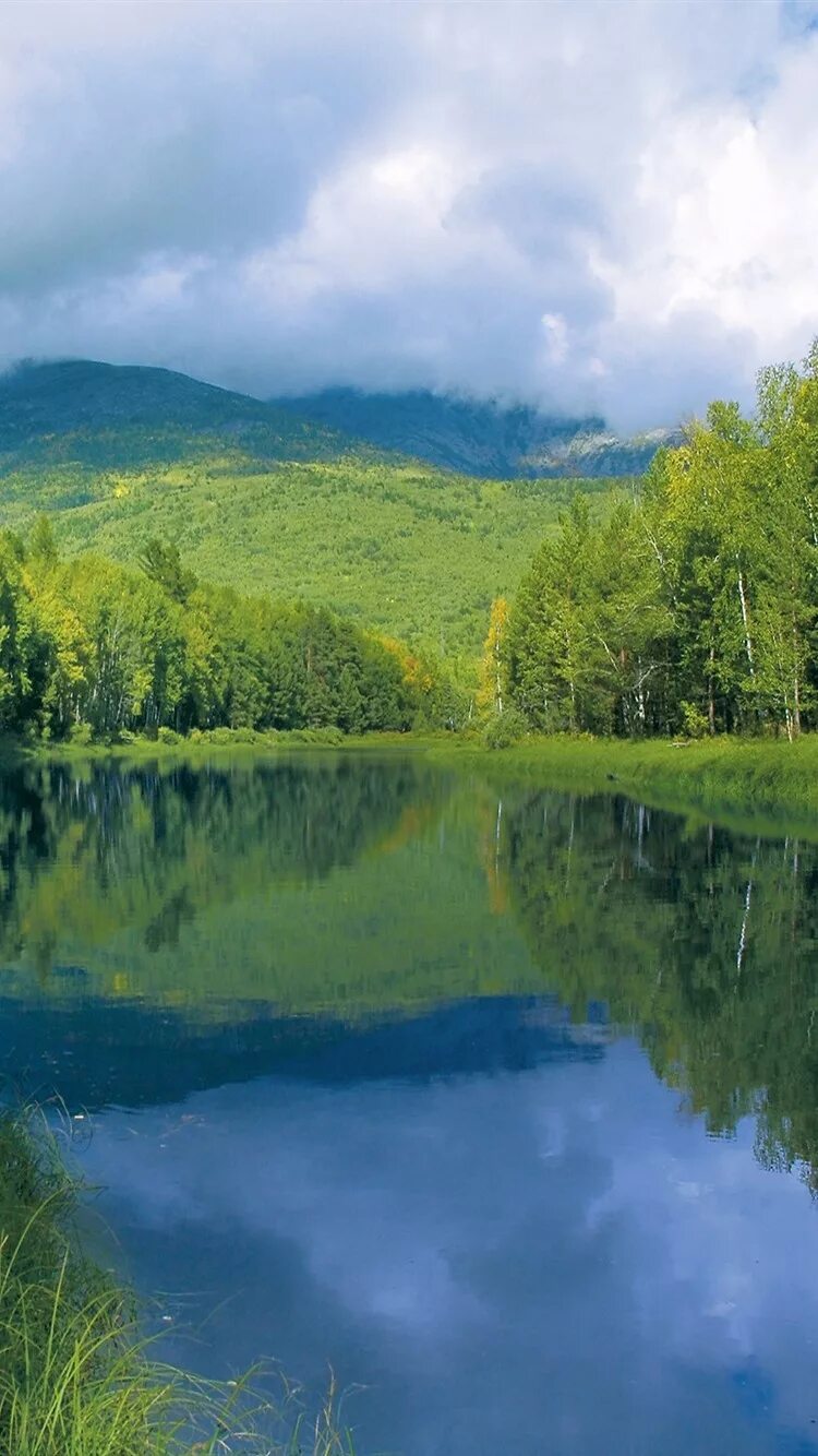 Природа река. Номер телефона река. Чусовской водозабор. Большекамский водозабор. Река пшеха село черниговское.