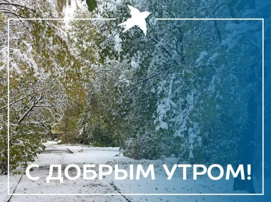 Открытка снег в мае. Доброе утро снег. доброе снежное утро. с добрым снежным утром картинки. доброе утро зима снег.