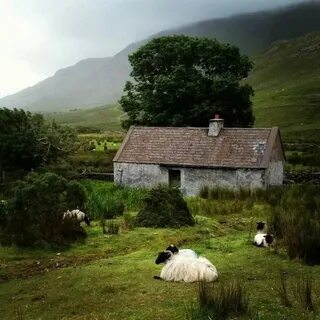 Irish home