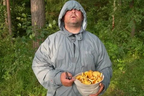 Новости грибников