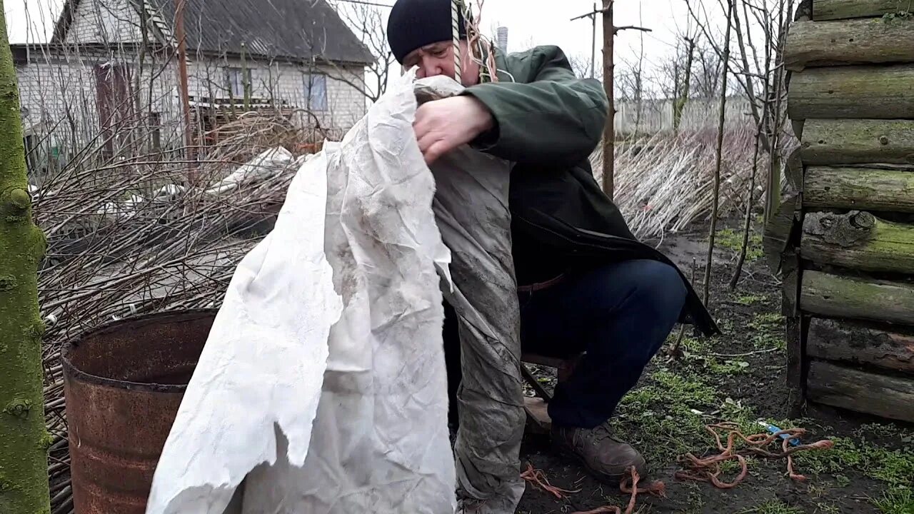 Изолирующий лес