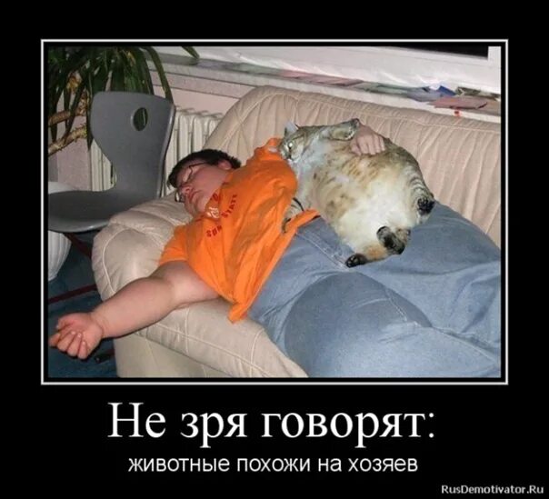 Не зря я говорил