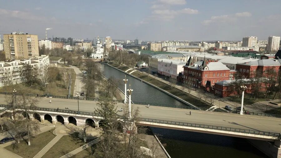 Сколько лет орлу