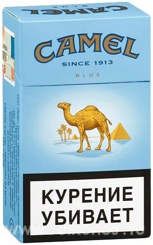 Кэмл компакт. Кэмел сигареты 2022. Сигареты Camel Compact. Кэмел синий. Пачка Camel.