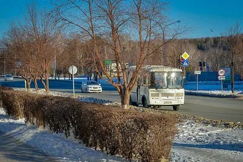 139 автобус кольцово