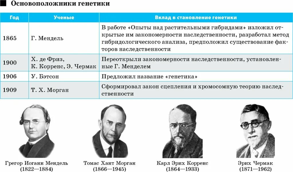 Фамилии генетика. Ученые и их вклад в развитие генетики. Основоположник генетики. Ученые генетики таблица. Ученые основоположники генетики.